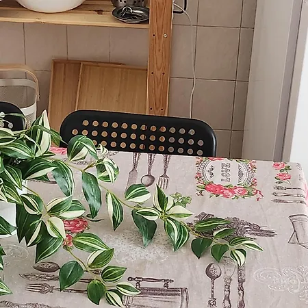 Apartmán Casa Gara Isabel *