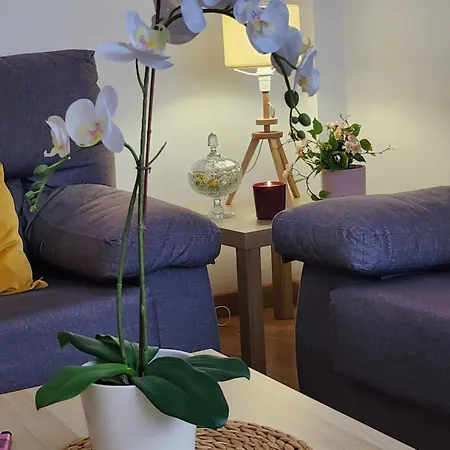 Casa Gara Isabel Апартаменты