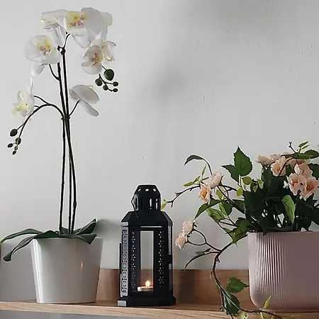 Casa Gara Isabel Апартаменты *