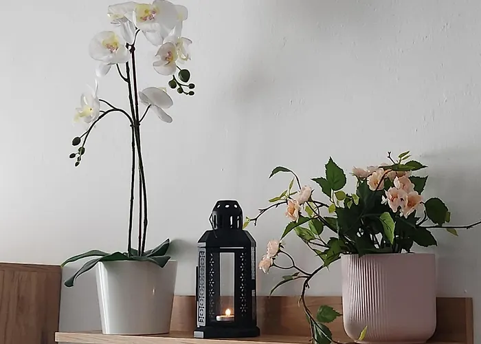 Casa Gara Isabel Lägenhet *